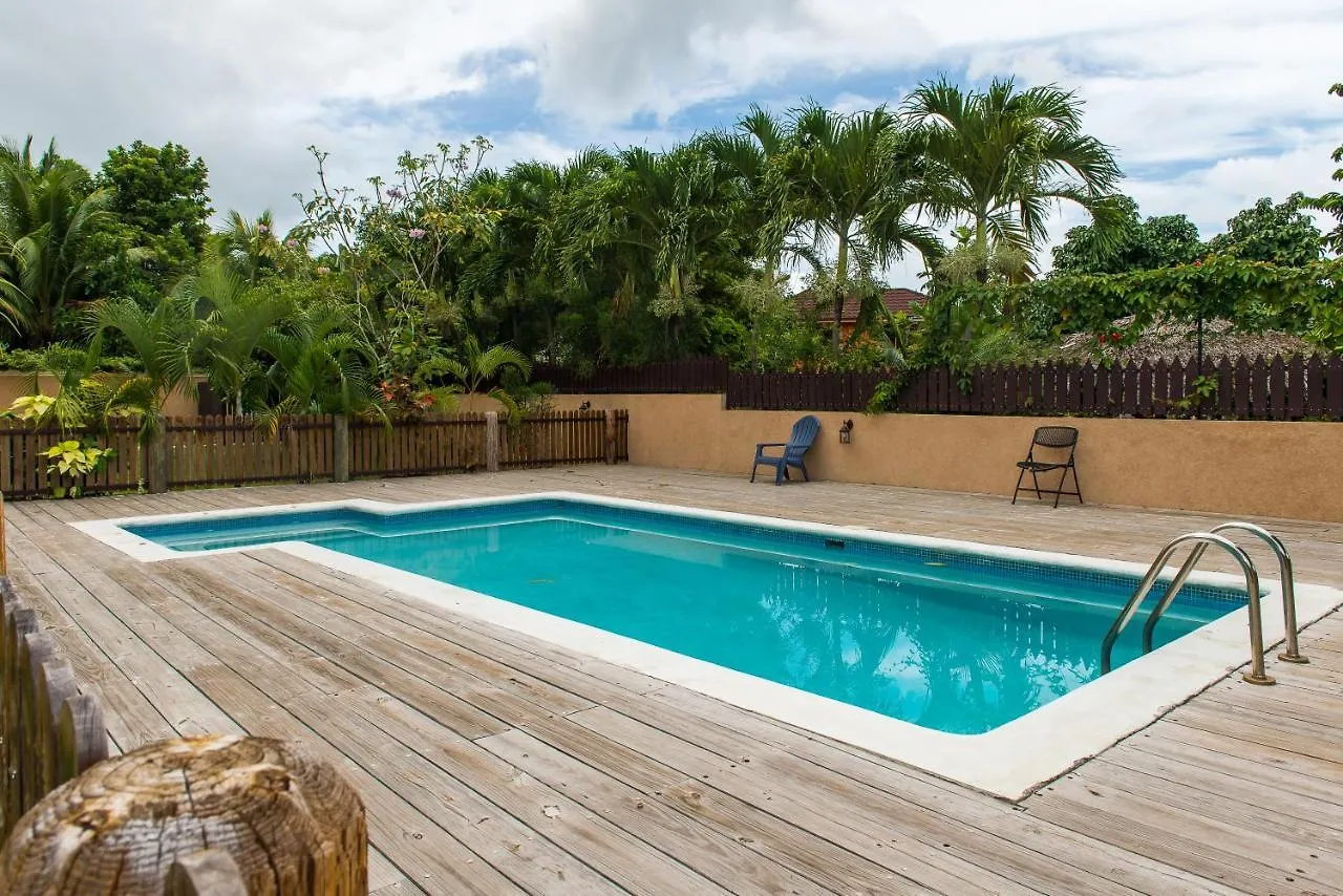 New Kingston Guest Apartment At Inglaterra III